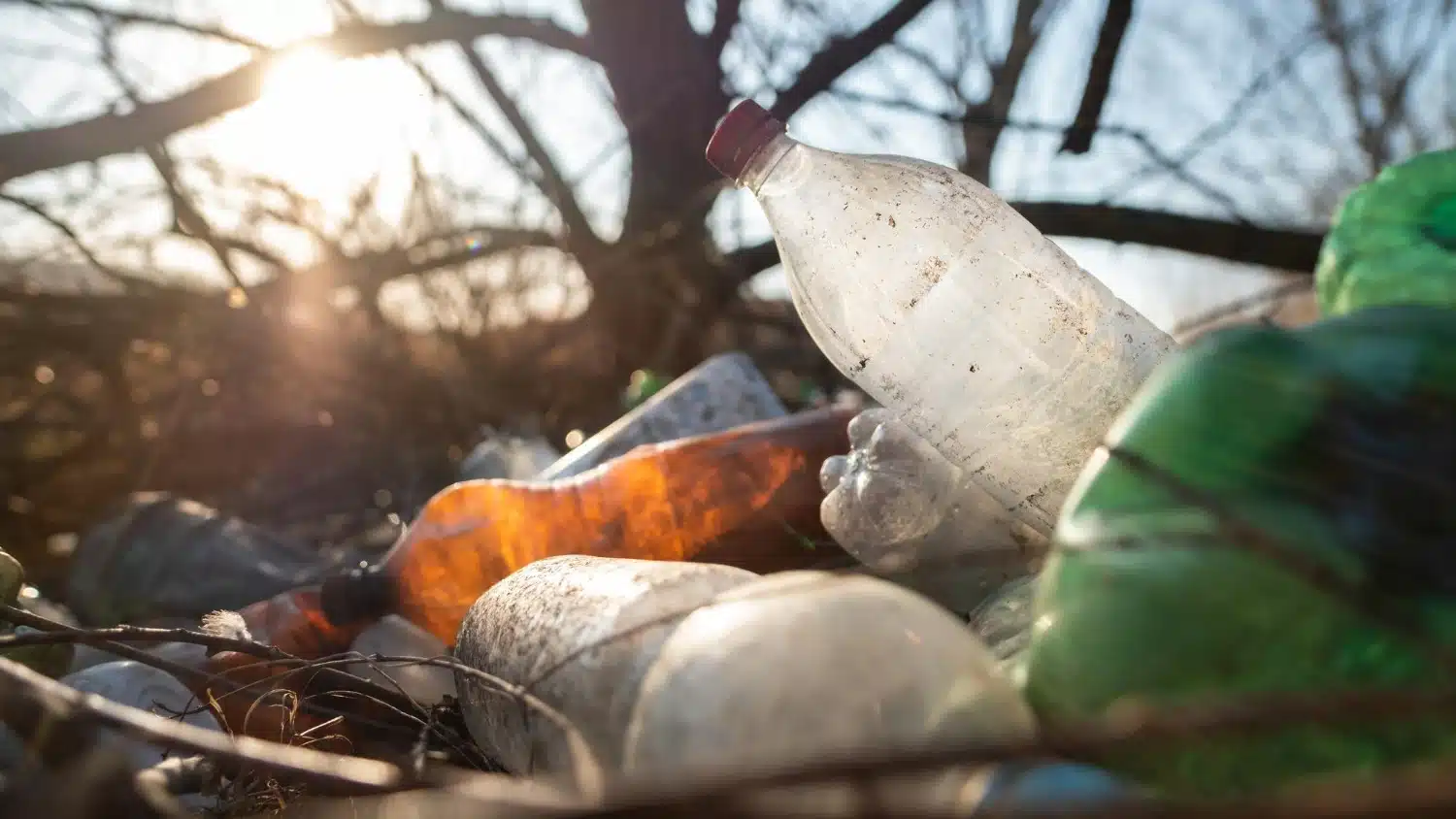Garrafas plásticas descartadas na natureza mostram a importância de ações para ajudar o meio ambiente.