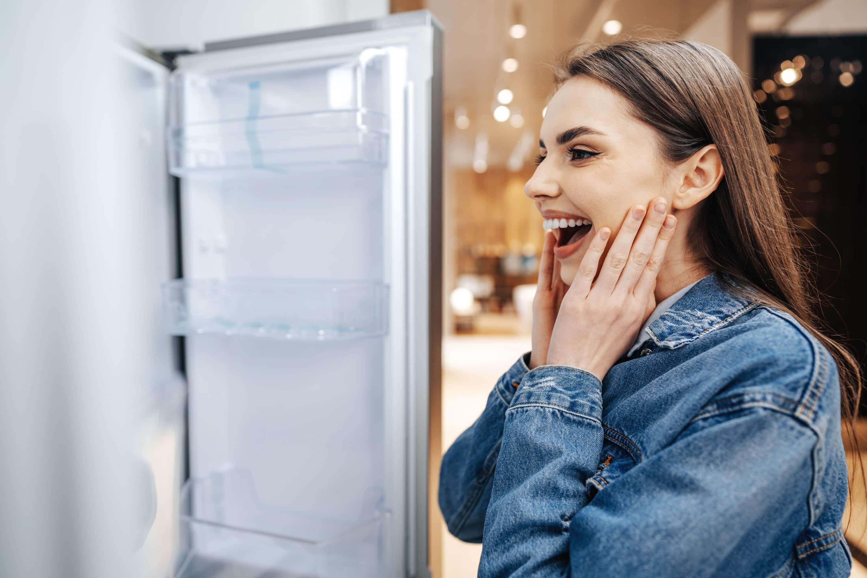 qual a melhor geladeira frost free brastemp ou electrolux​